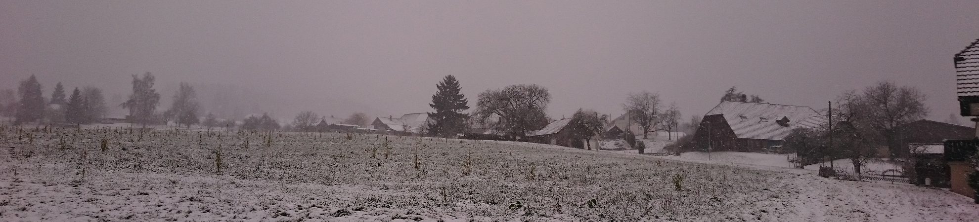 Spiegelberg