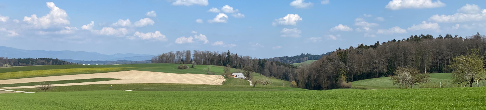 Leebach