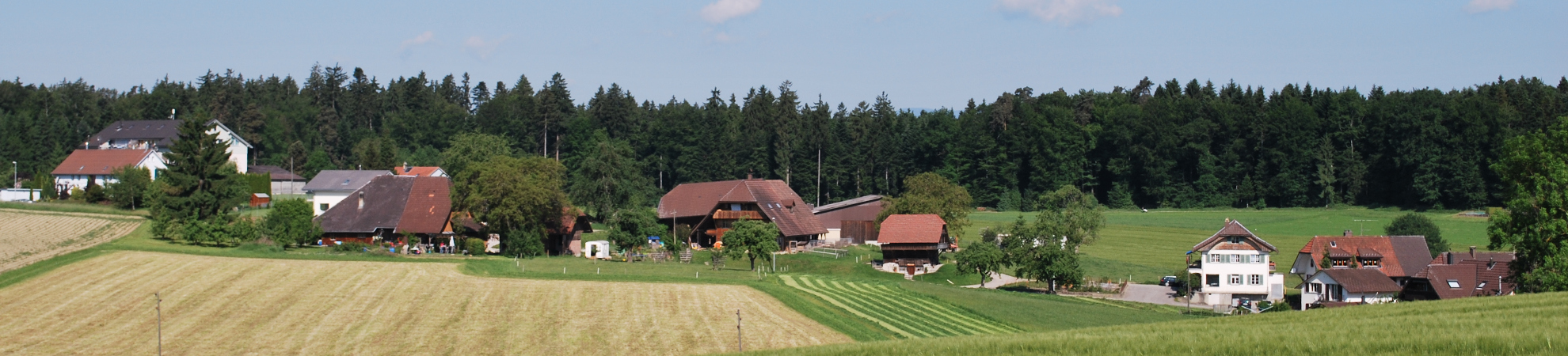 Flösch